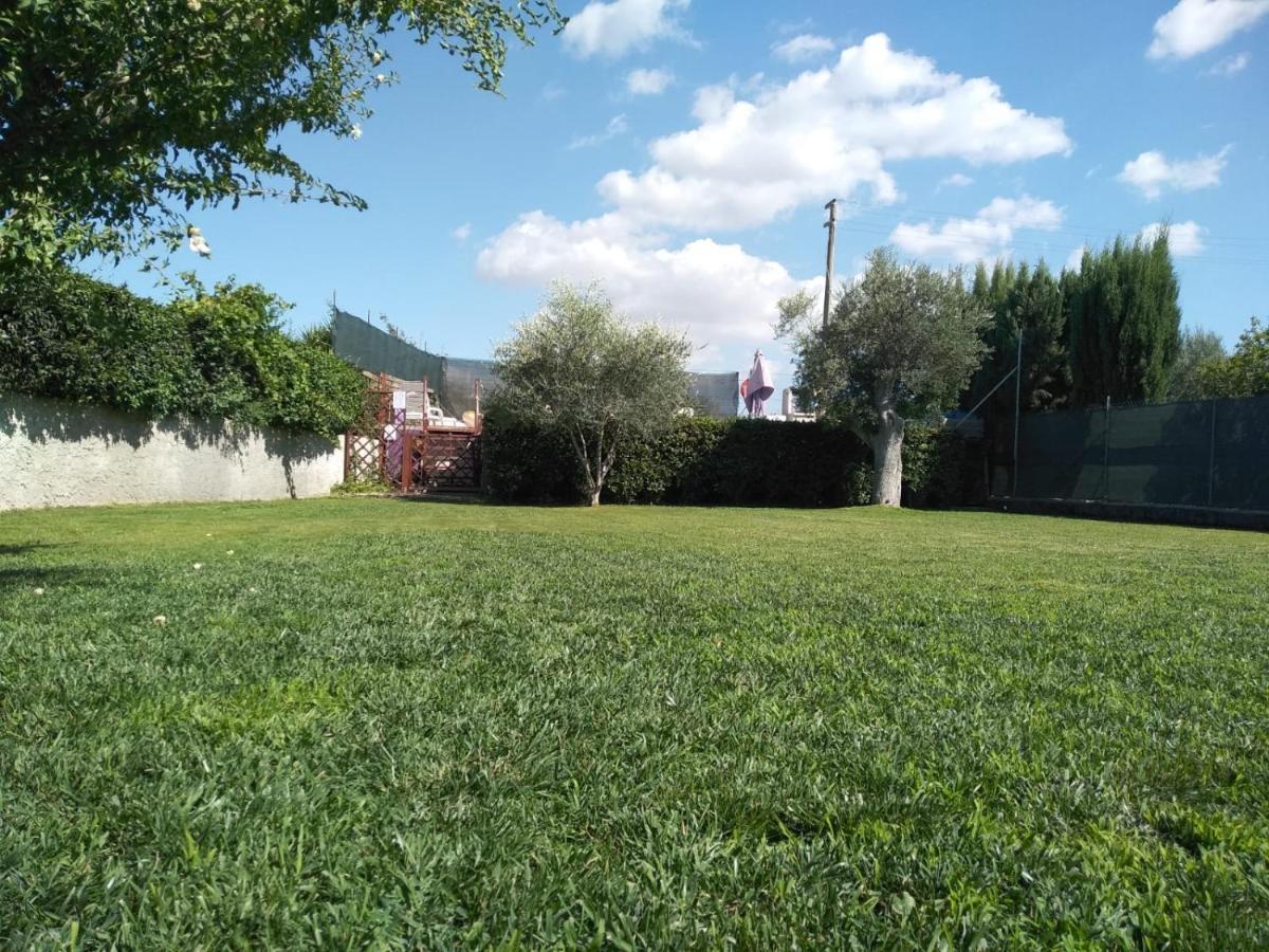Golden Villa, Residenza Di Campagna 萨萨里 外观 照片