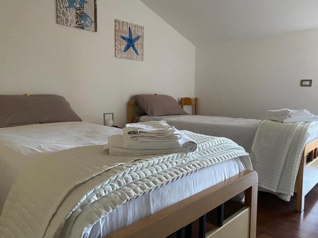 Golden Villa, Residenza Di Campagna 萨萨里 外观 照片